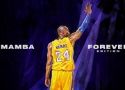 PG游戏APP-新王当立！莫兰特接管季后赛舞台，湖人掀翻开拓者书写新章