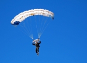 PG电子娱乐在线-2026世界杯之夜，字母哥的统治级数据如何重塑篮球历史