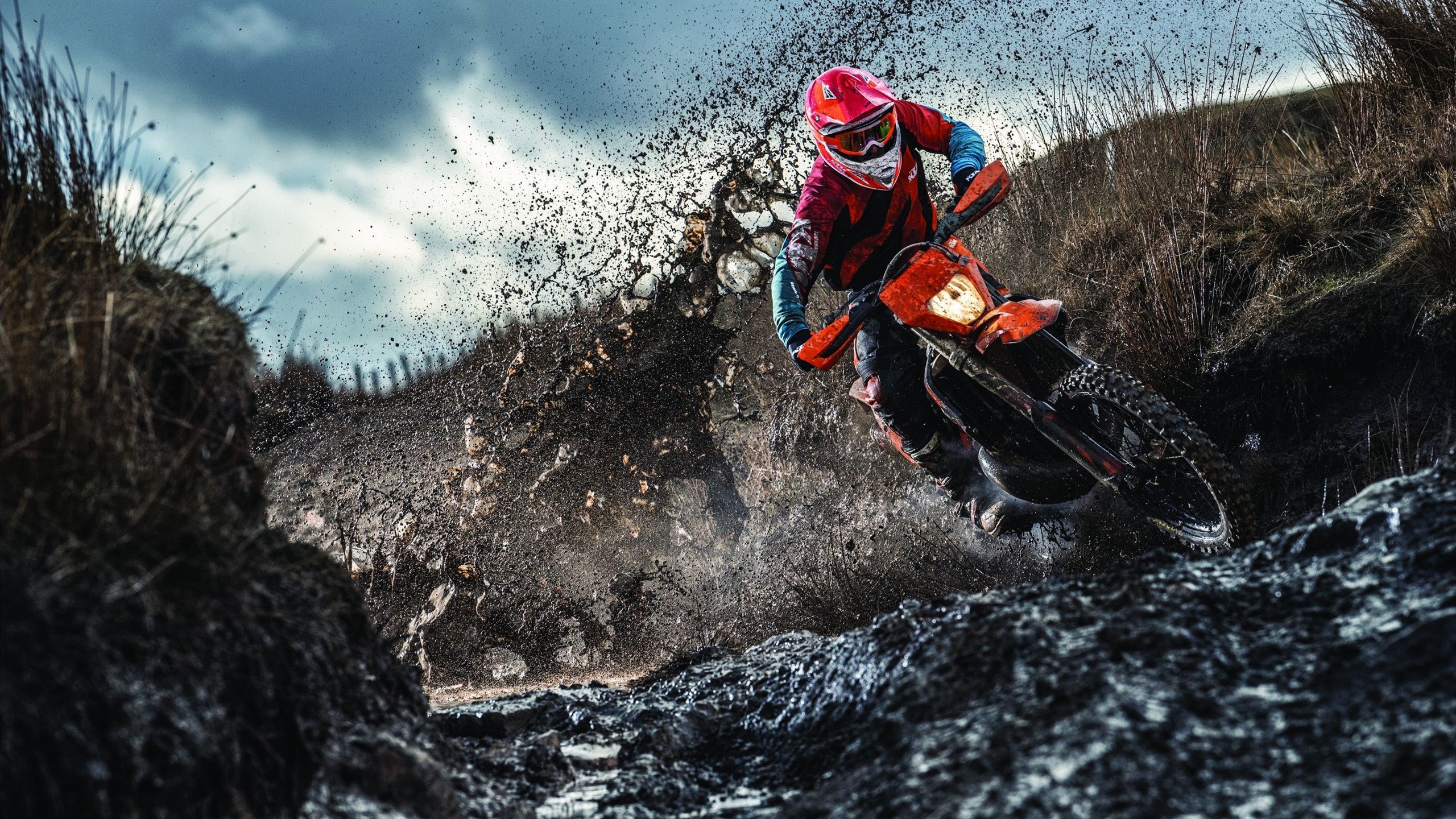 跨越时空的统治力，当尼克斯碾压猛龙，詹姆斯在欧冠接管比赛